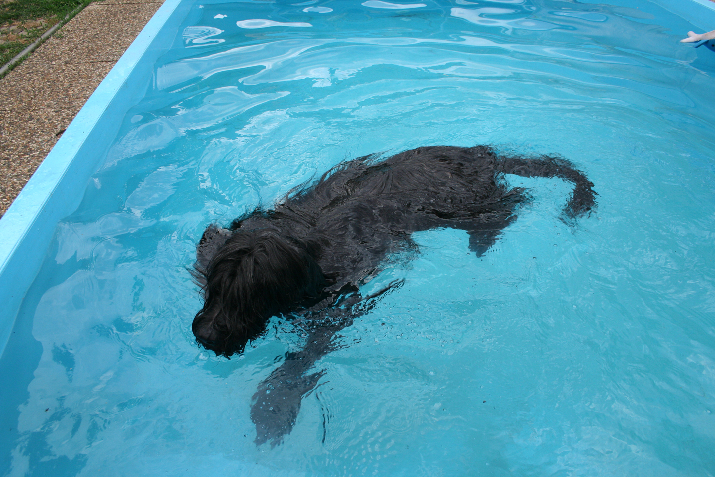 Jag Junior endlich ohne Schwimmweste/Jag Junior finally without a life jacket